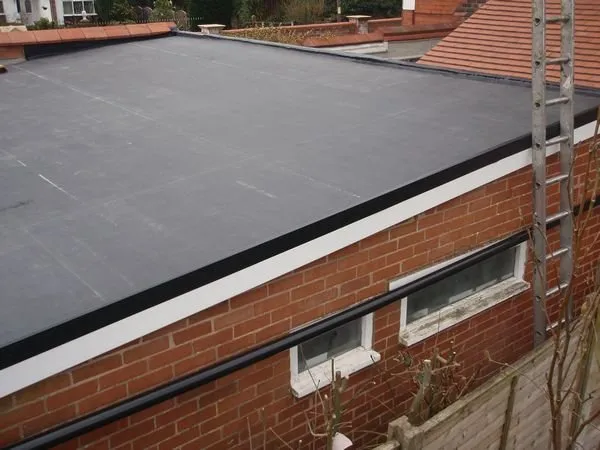 Slide of Shingle It Two