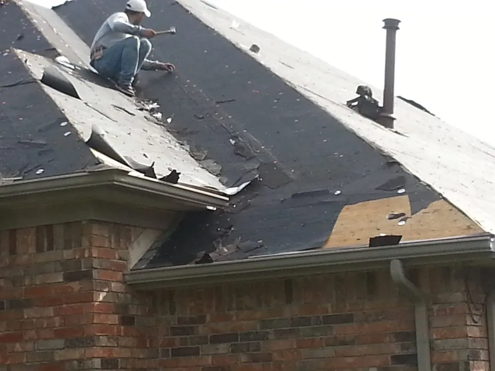 Slide of Shingle Leads