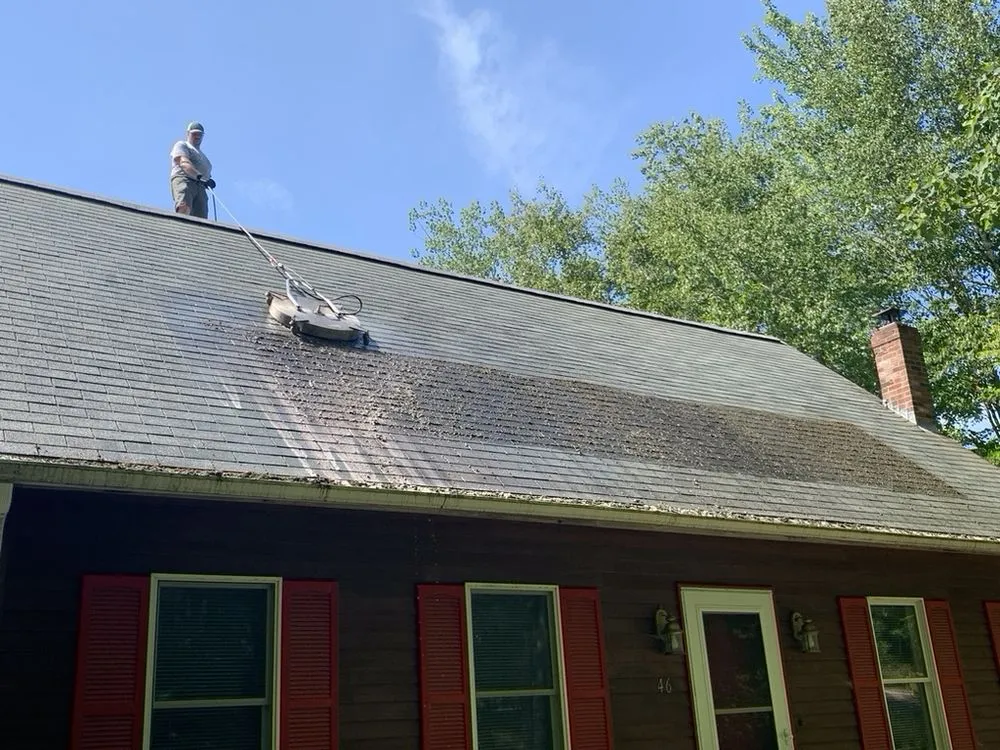 Slide of Shingle Rescue