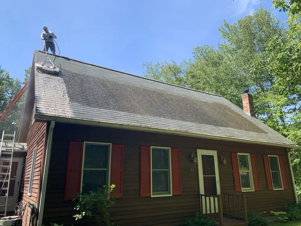 Slide of Shingle Rescue