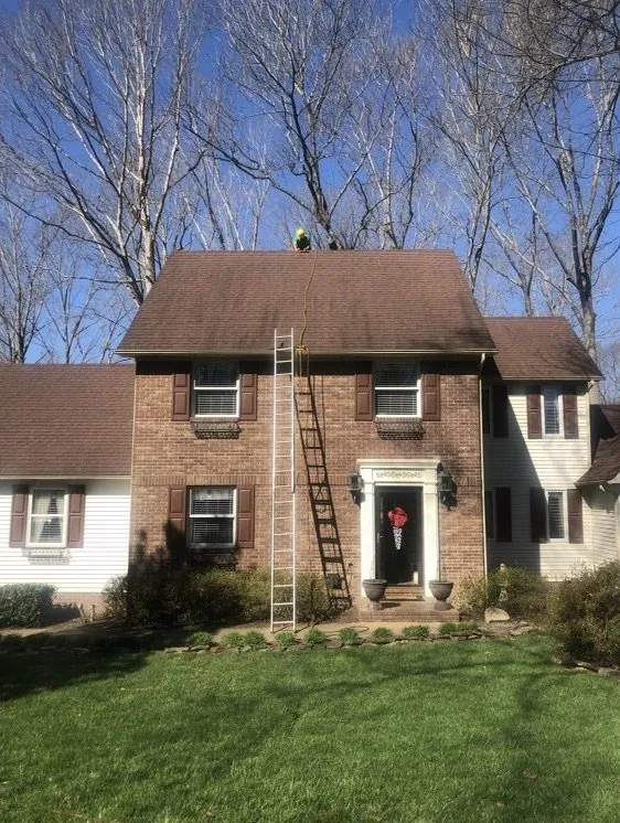 Slide of Shingle Restoration Services