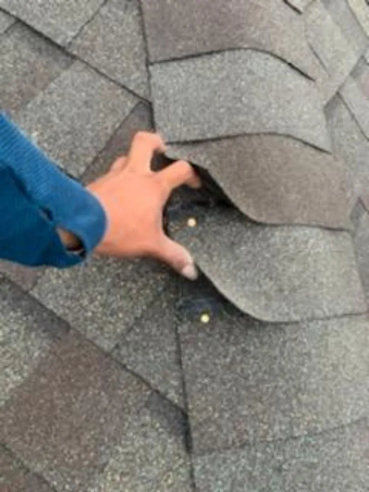 Slide of Shingles Express