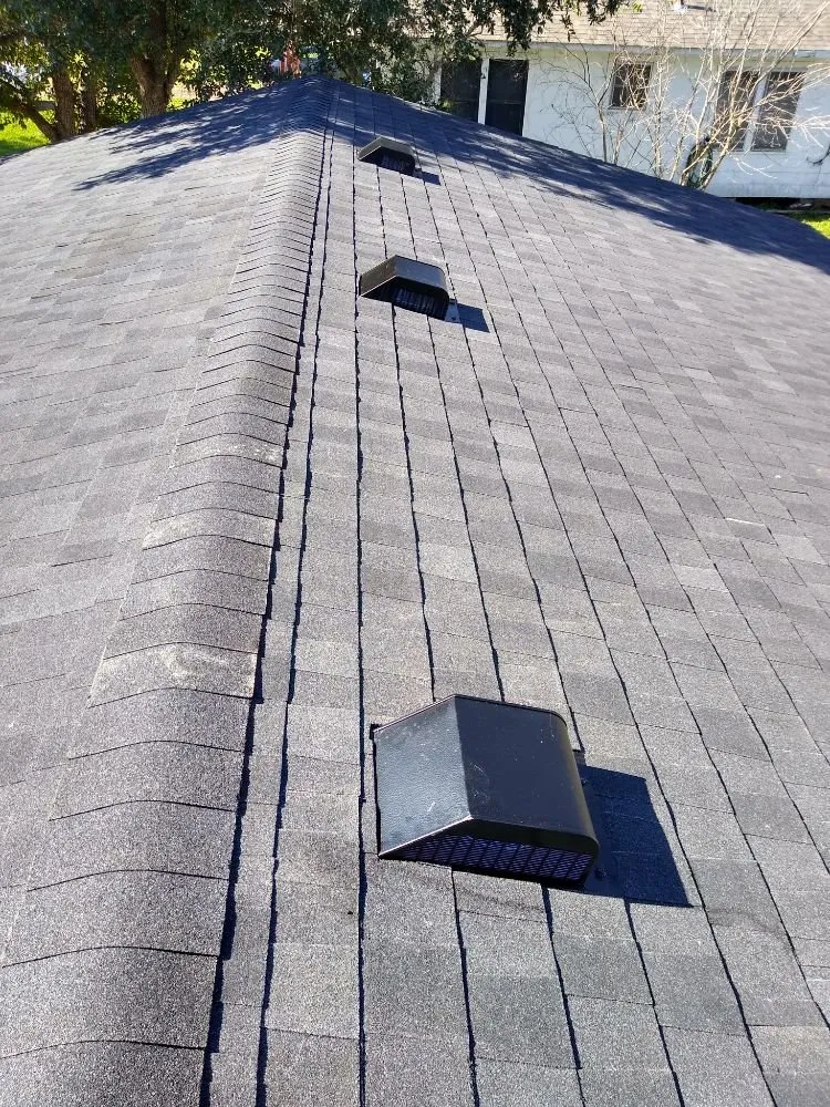 Slide of Shingles Express