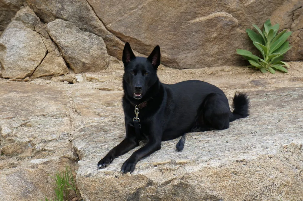 Slide of Shop One Stop Roofing & Construction