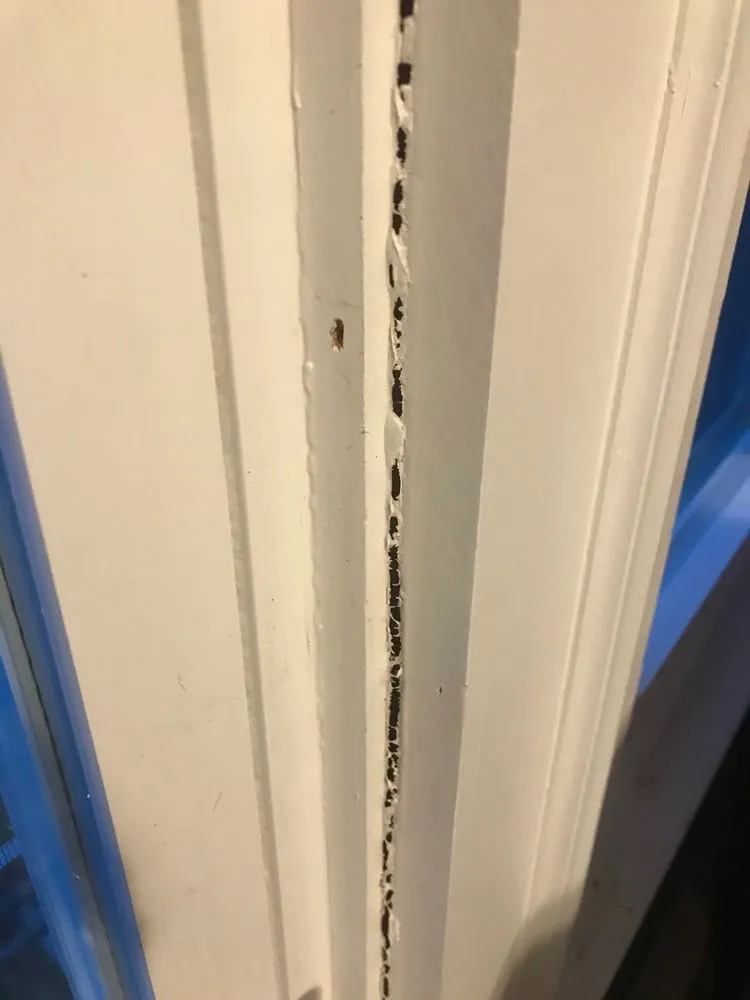 Slide of Shore Lock Homes