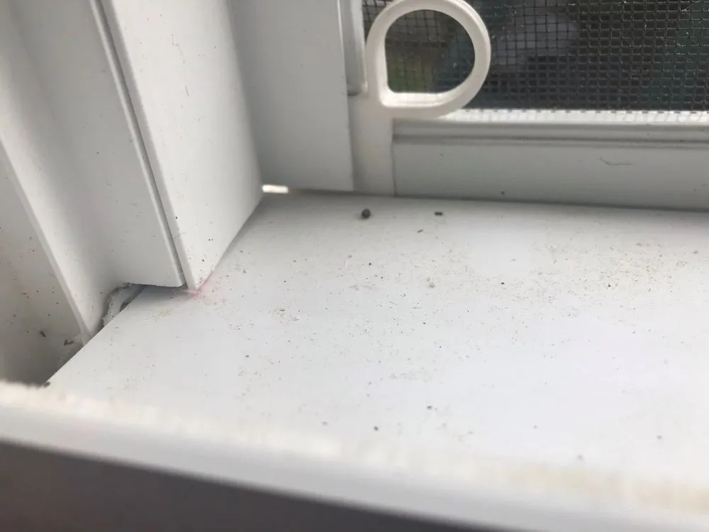 Slide of Shore Lock Homes