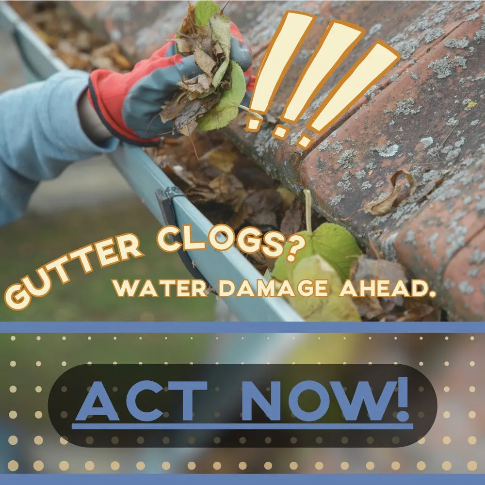 Slide of Shreiner's Kanga Roof