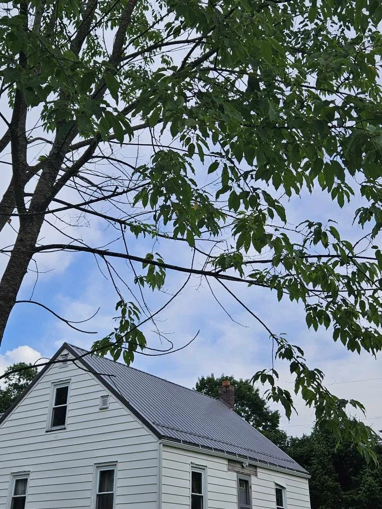 Licensed shingle roofing service in Weedville, PA - Shrubb's Customs
