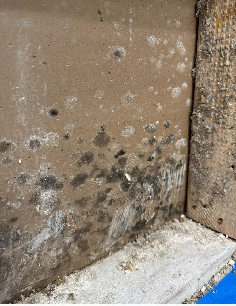 Slide of Sierra Group Roofing & Solar