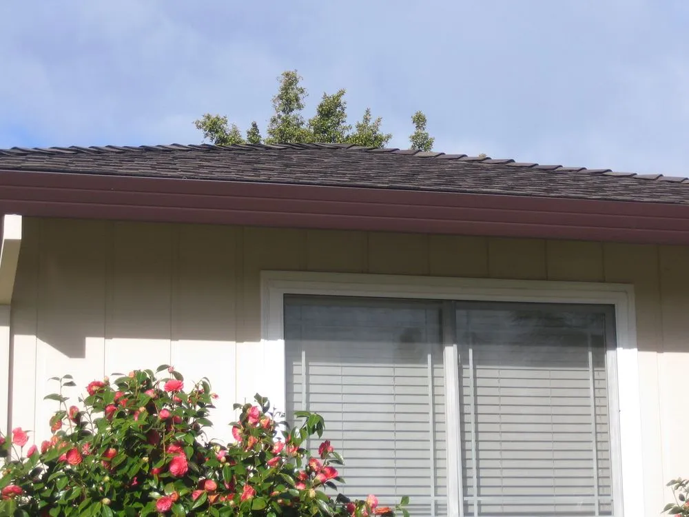 Slide of Sierra Roofing and Solar