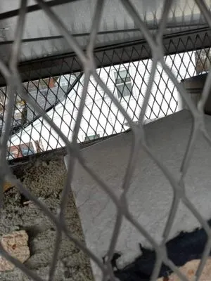 Sigma Masonry And Construction