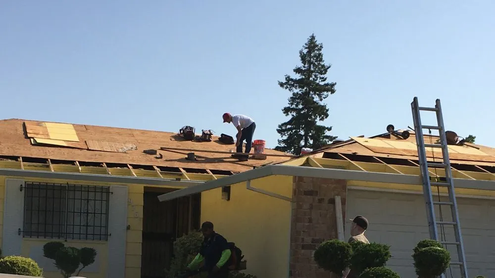 Slide of Signature Roofing