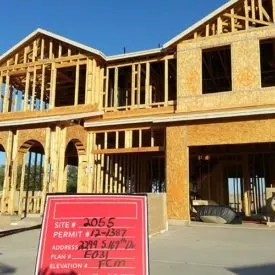 Slide of Silver Back Development