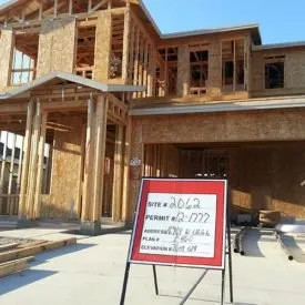 Slide of Silver Back Development