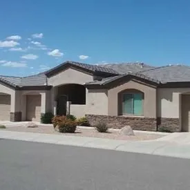 Slide of Silver Back Development