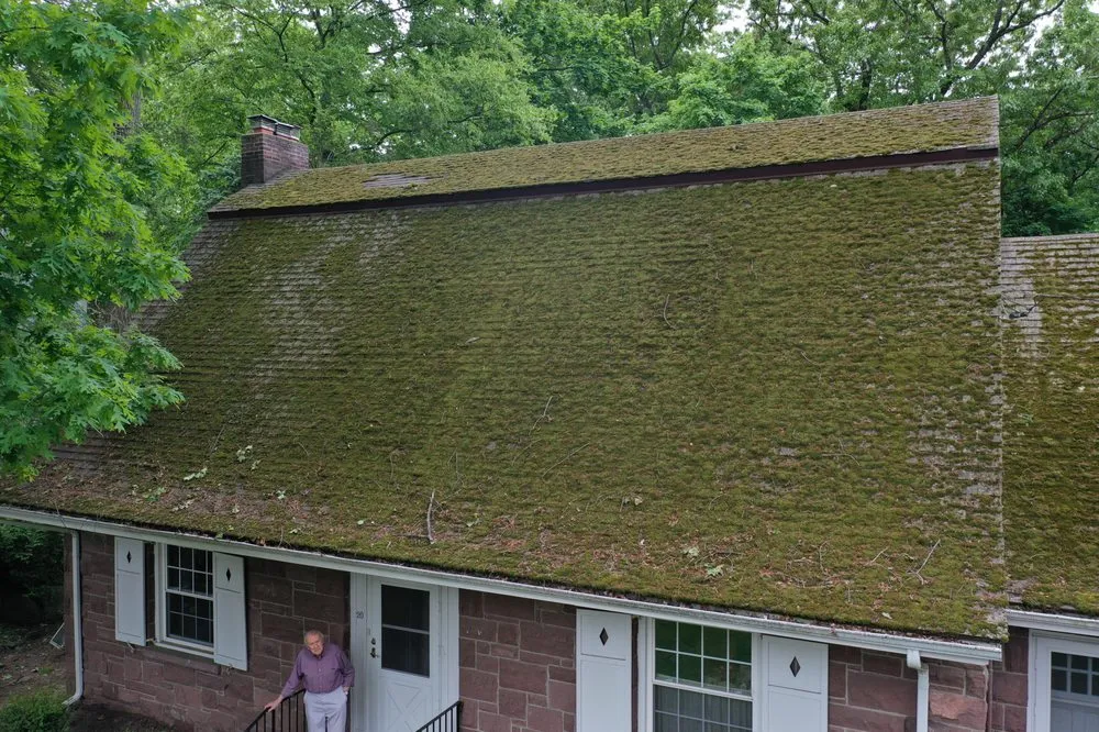 Slide of Silver Fox Remodeling