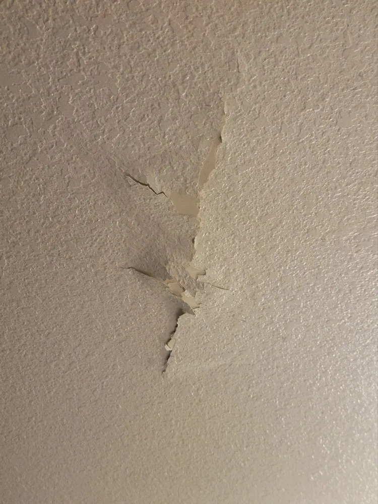 Slide of Silverback Construction Services