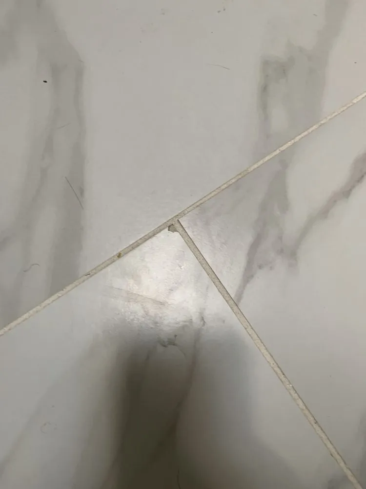 Slide of Silverback Construction Services