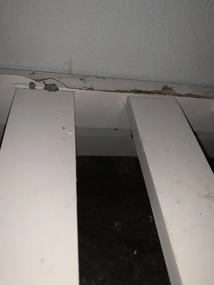 Slide of Silverback Construction Services