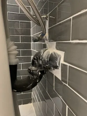 Silverback Construction Services Logo