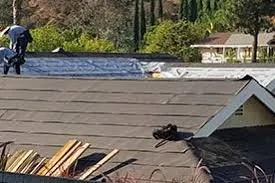 Slide of Silvestre Roofing