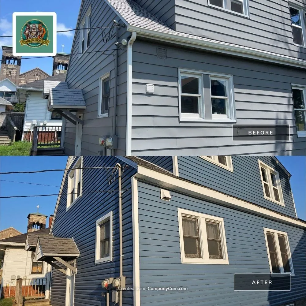 Slide of Simian solutions