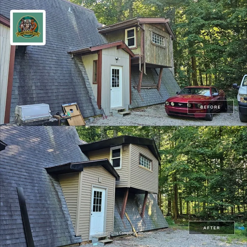 Slide of Simian solutions