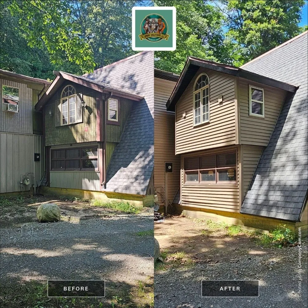 Slide of Simian solutions