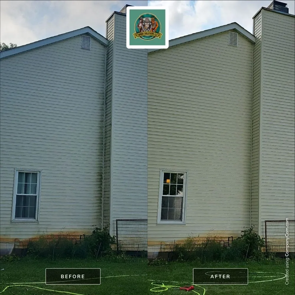 Slide of Simian solutions