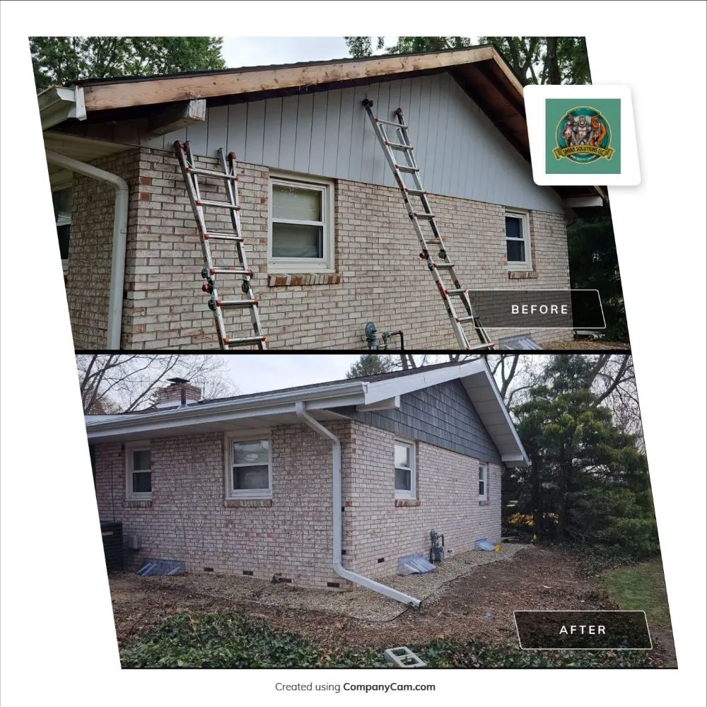 Slide of Simian solutions