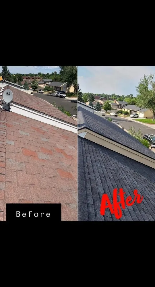 Professional shingle roofing service experts serving Larkspur, CO - Simple Roofing and Exteriors