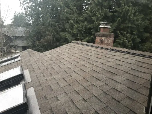 Simple Star Solutions