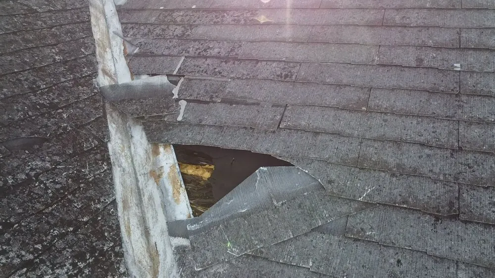 Slide of Simplex Roof