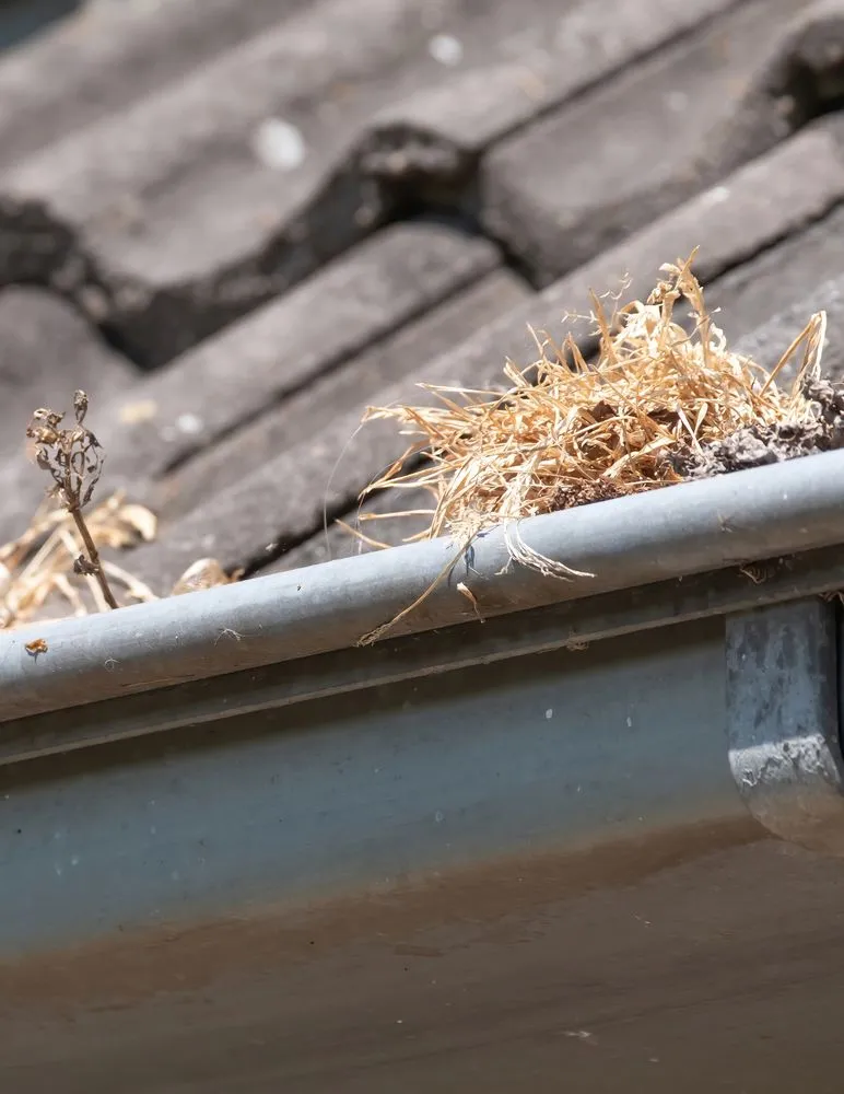 Slide of Simplified Home Services