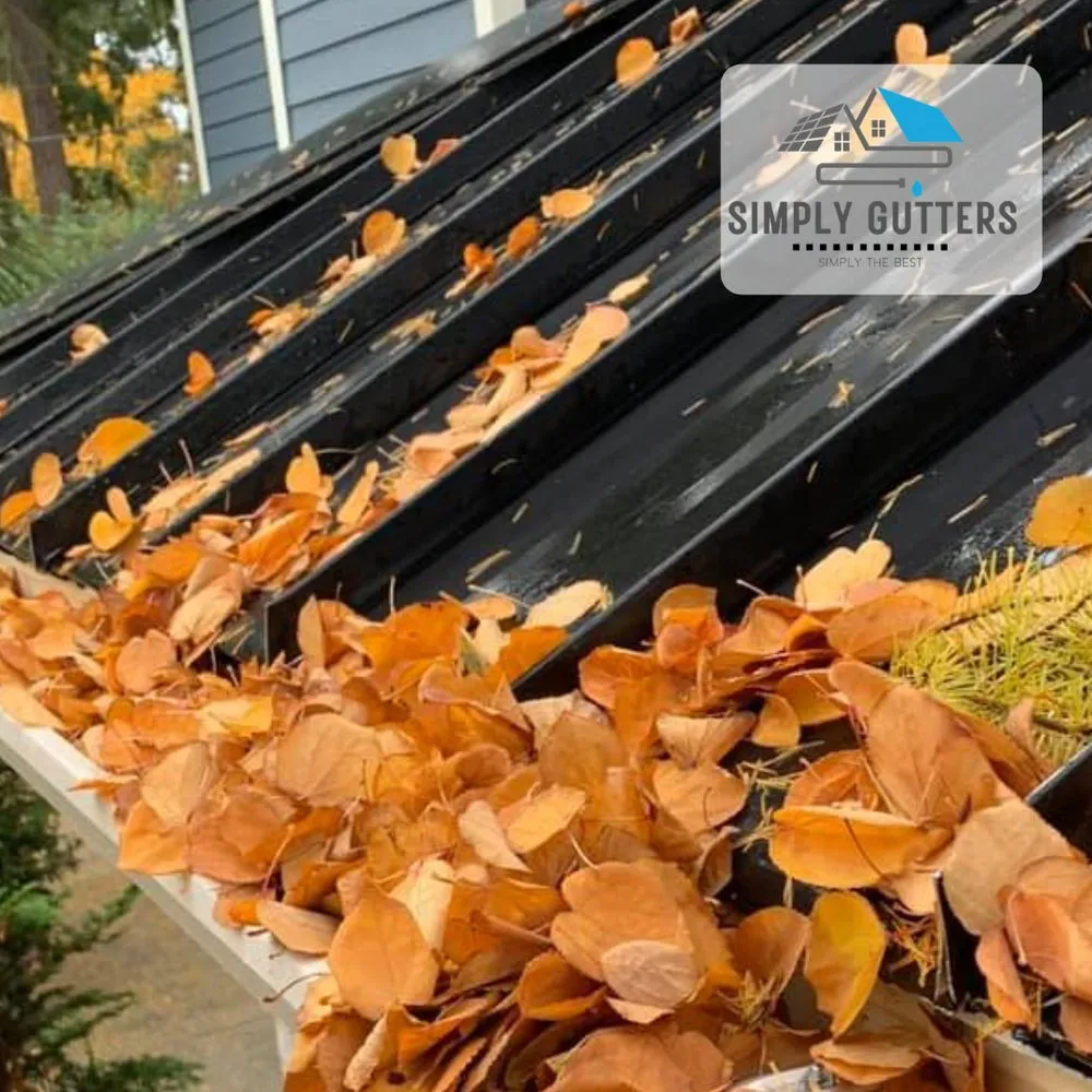 Slide of Simply Gutters
