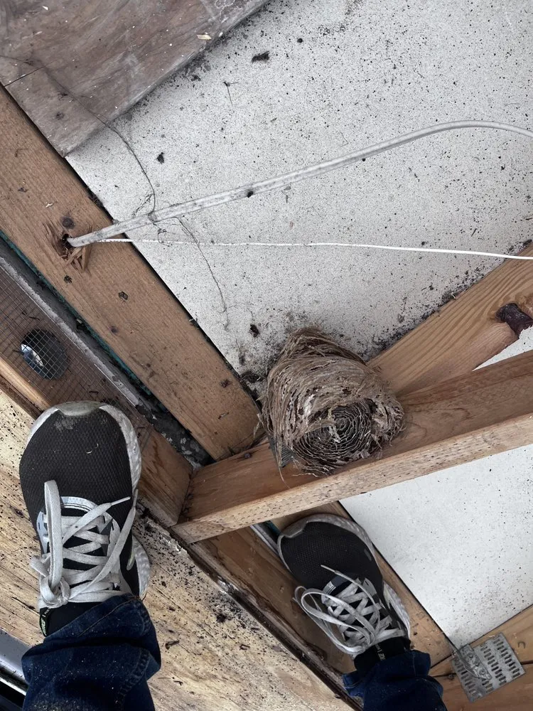 Expert roof replacement for fast service across Houston, WA - Simply Installations