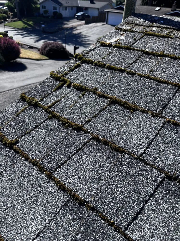Professional shingle roofing service in Houston, WA - Simply Installations