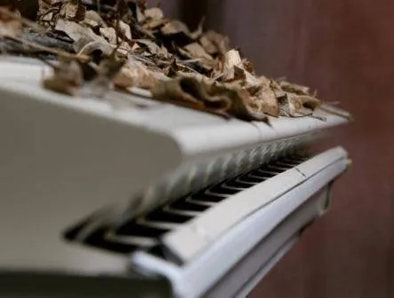 Slide of Sims Exteriors & Remodeling