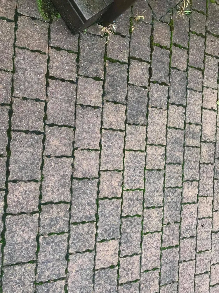 Slide of Sisca & Sons Home Improvements