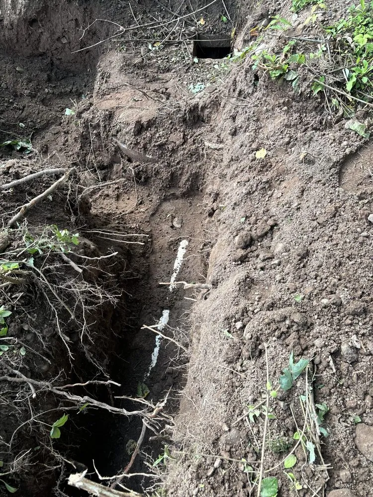 Slide of Situational Homes