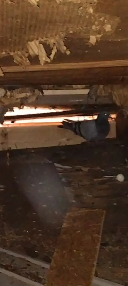 Slide of S&K Construction And Remodeling