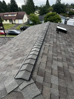 Sky Roofing Renovations
