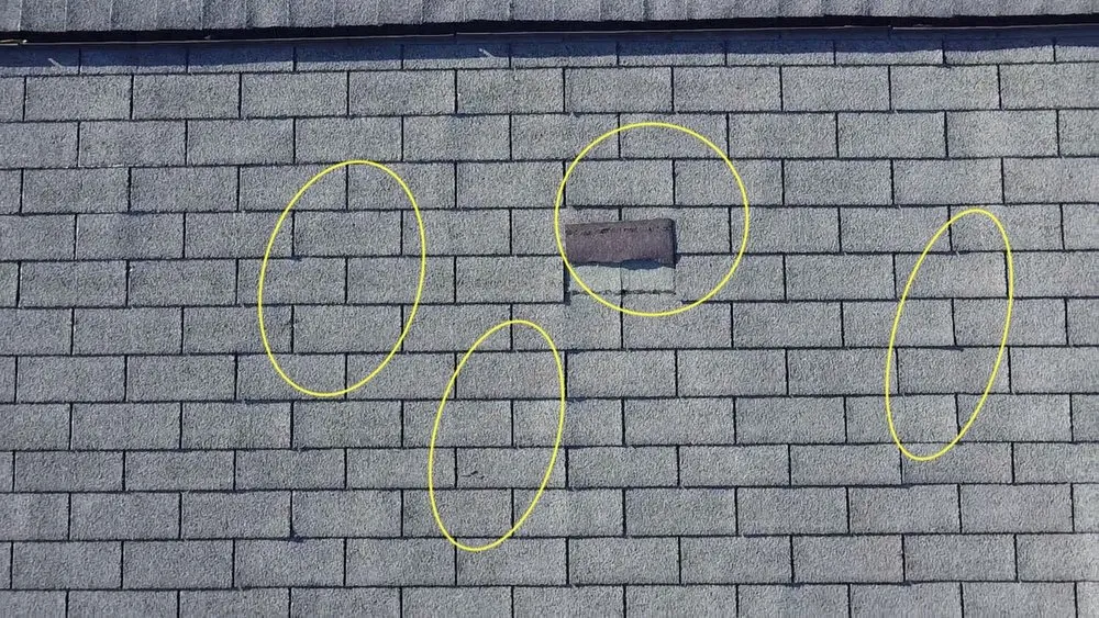 Slide of Skybird Roofing