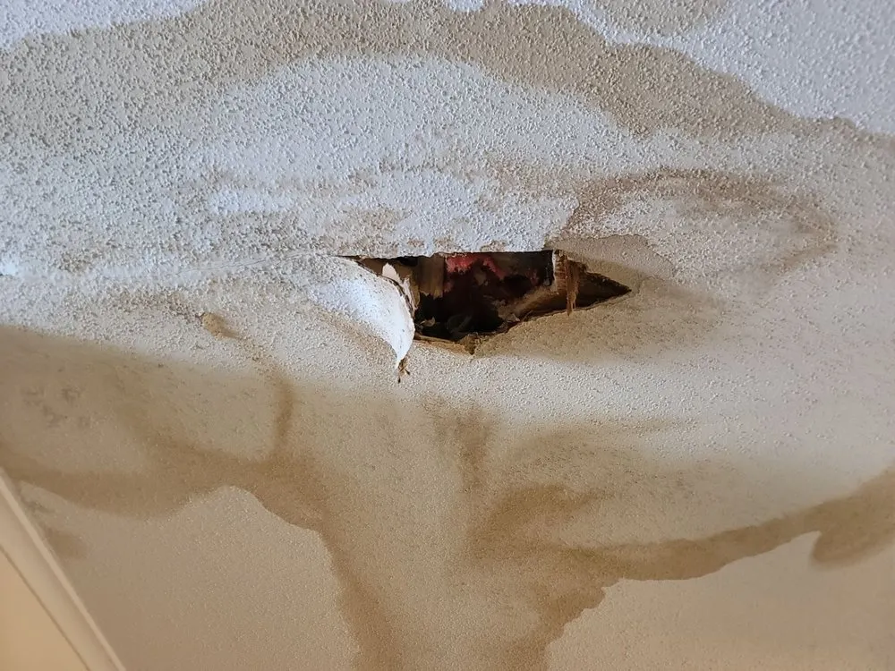 Slide of Skydrop Restoration