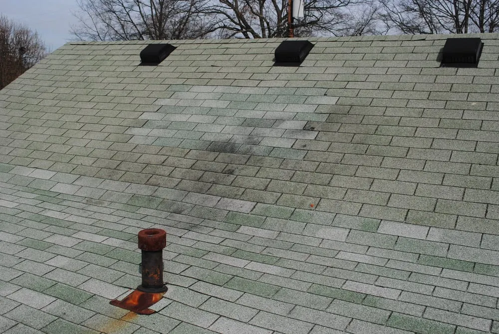 Slide of Skye-Brynn Enterprise