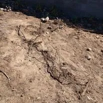 Slide of Skye Builders