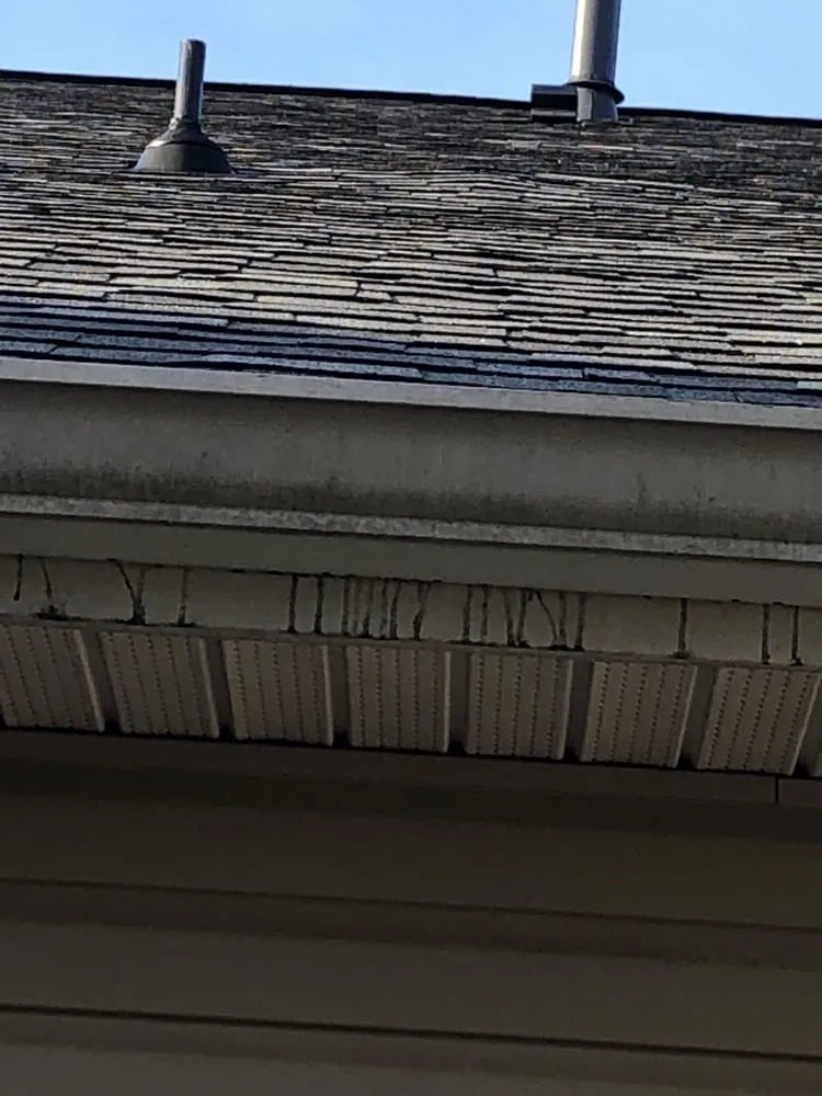 Slide of Skyfall Exteriors