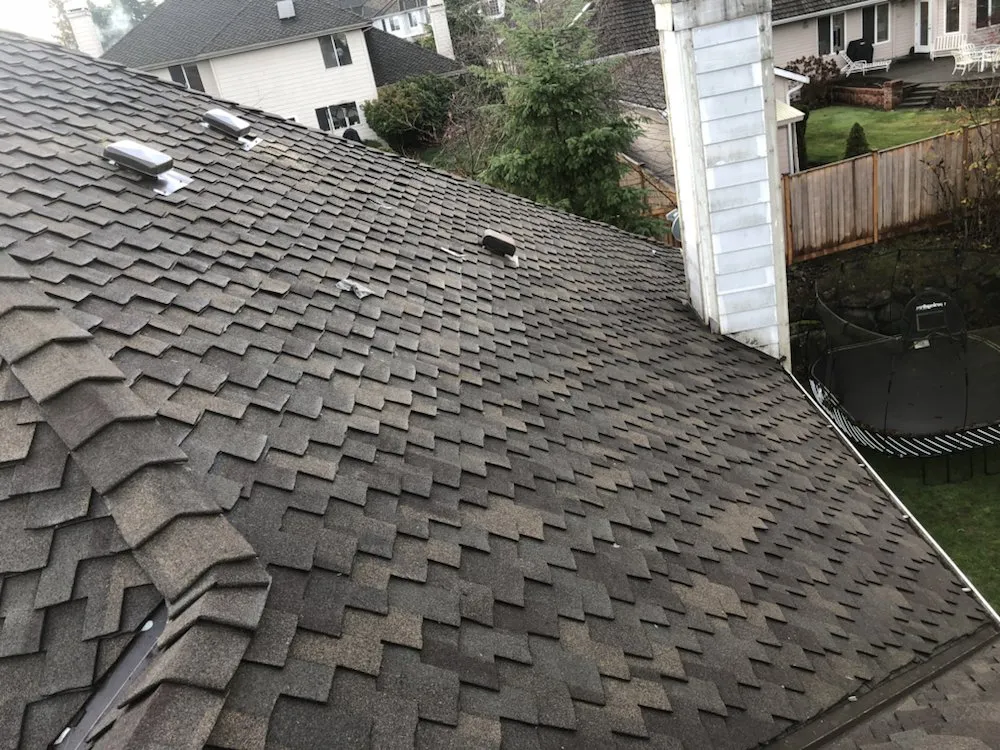 Slide of Skyhigh Experts