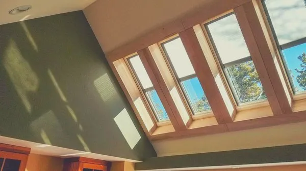 Skylight Specialists