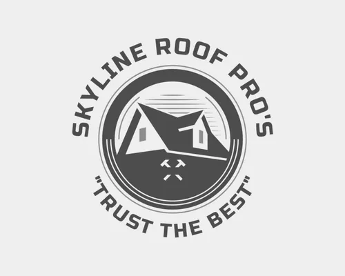 Skyline Roof Pro's